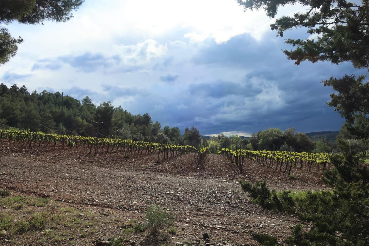 Masia Sagues Poblet Εξωτερικό φωτογραφία