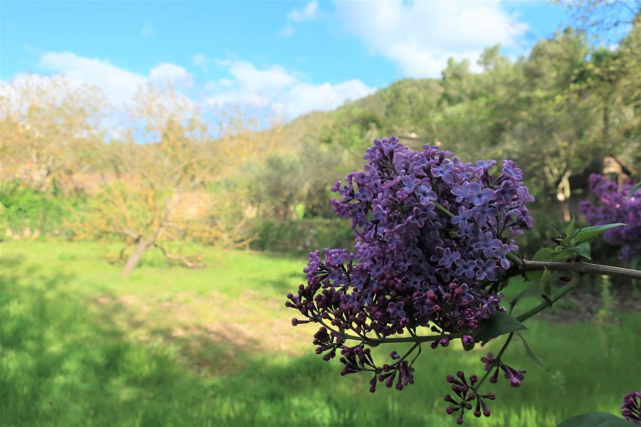 Masia Sagues Poblet Εξωτερικό φωτογραφία