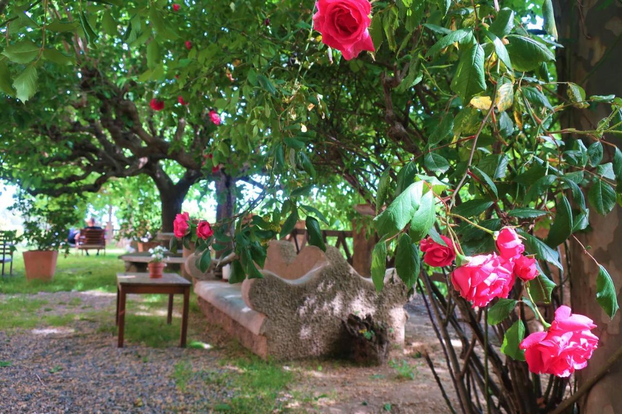Masia Sagues Poblet Εξωτερικό φωτογραφία