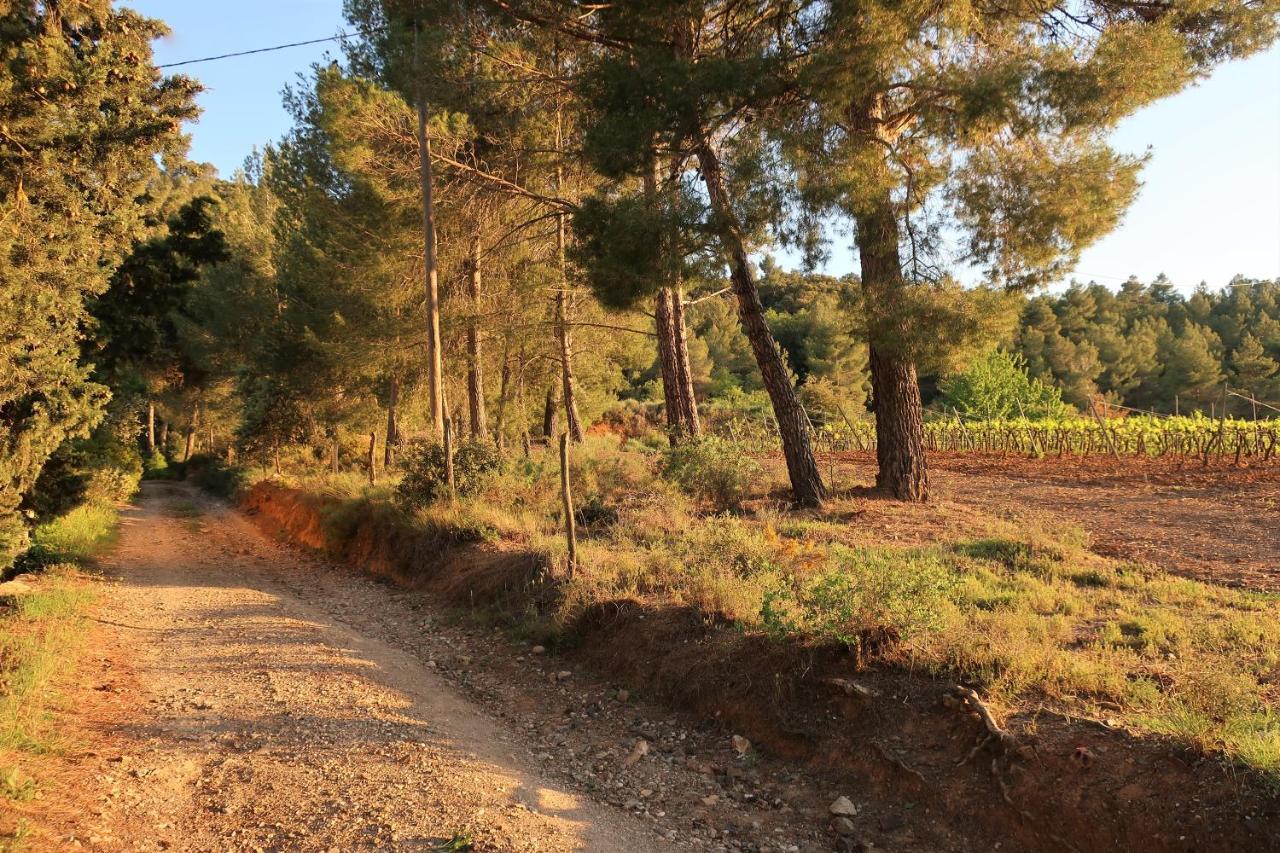 Masia Sagues Poblet Εξωτερικό φωτογραφία