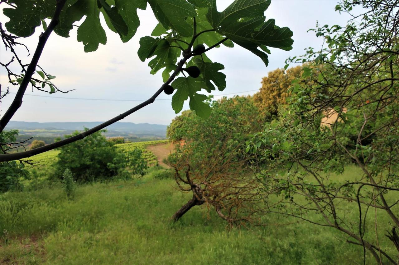 Masia Sagues Poblet Εξωτερικό φωτογραφία