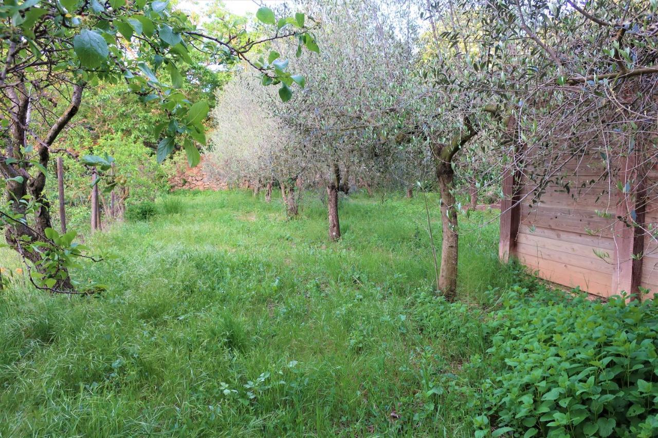 Masia Sagues Poblet Εξωτερικό φωτογραφία